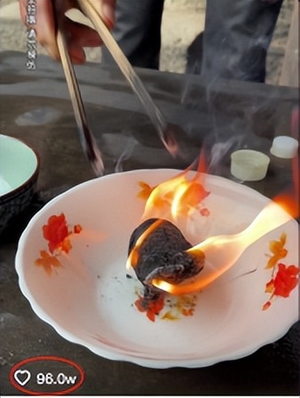 老杨啊：“黑暗料理”狗看了都摇头，却成为全网女人最想嫁的男人