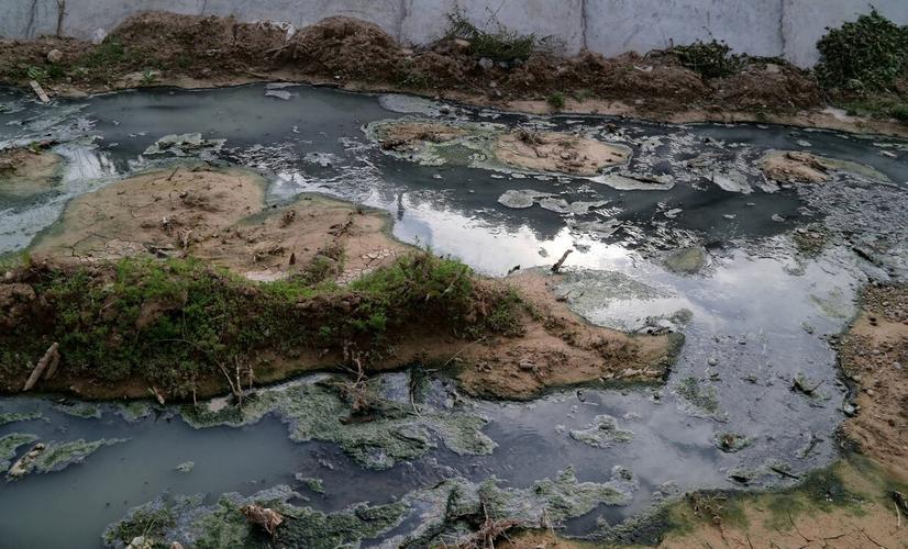 捕捞红虫一天能赚多少钱,捕捞红虫一晚挣几十万