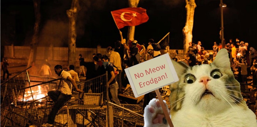 土耳其更改国名：欲与“火鸡”告别？