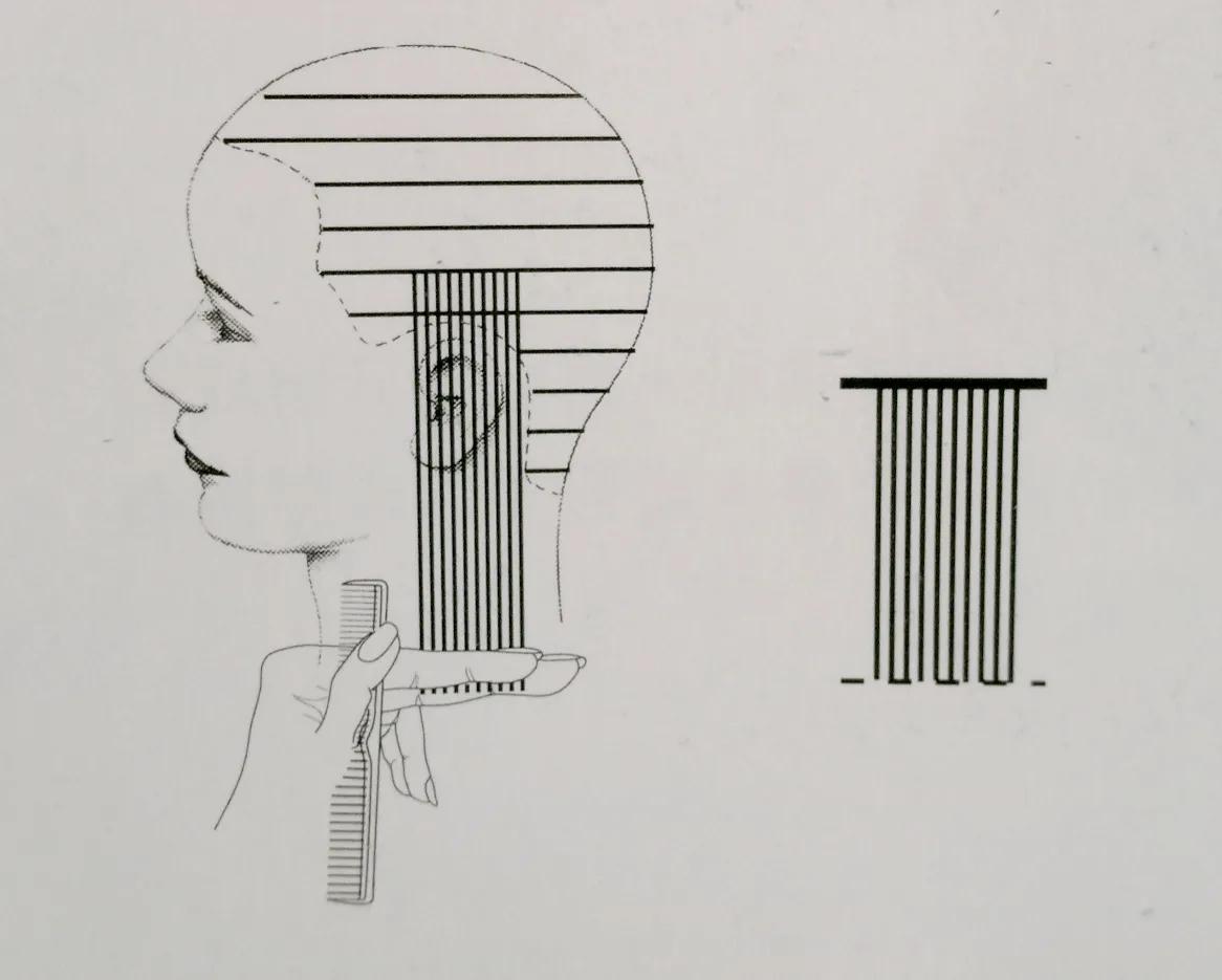 正确指甲修剪步骤图,2标养护