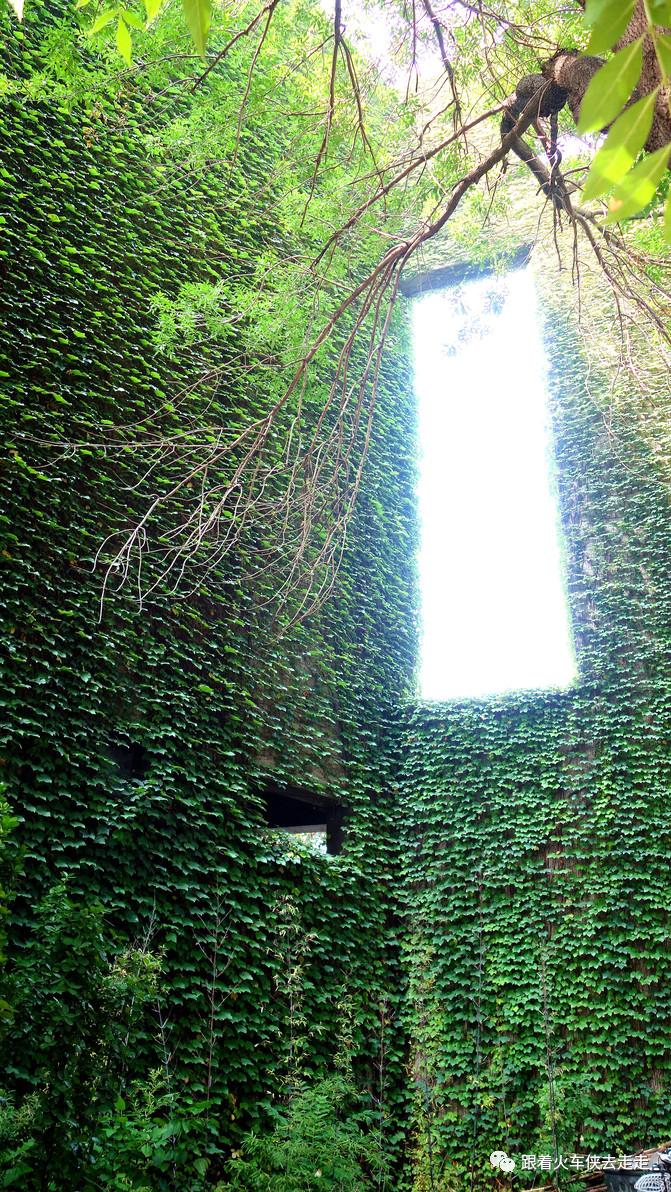 老天津读历史，新天津新全运（四）——天津大学（下）