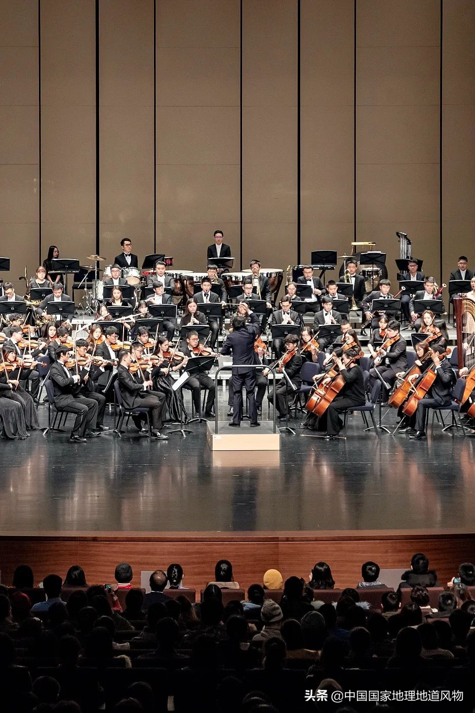 中南大学中南矿冶学院,中南是哪个大学