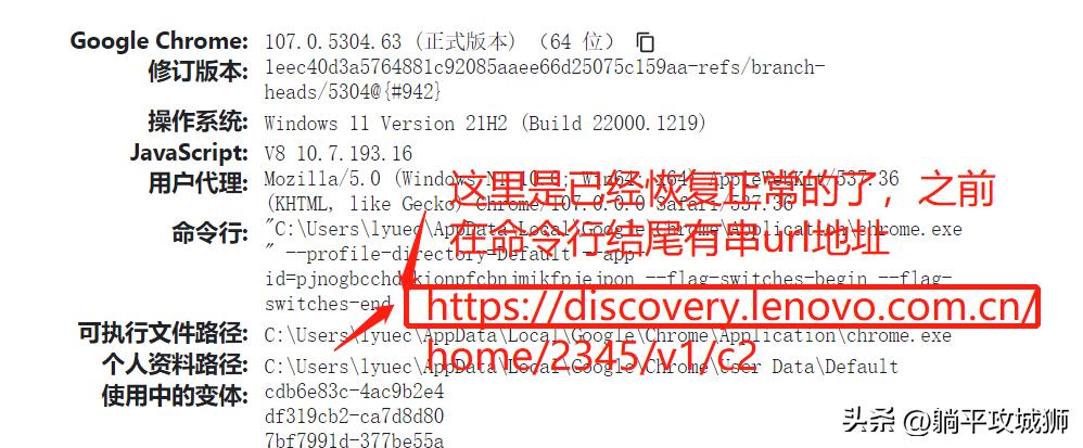 谷歌浏览器的首页被修改,谷歌浏览器主页被篡改的解决方法