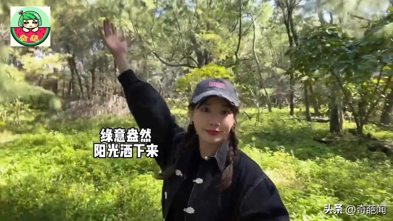 中国小姐姐买了个日本小岛，日本网友炸锅了，说这是侵略第一步