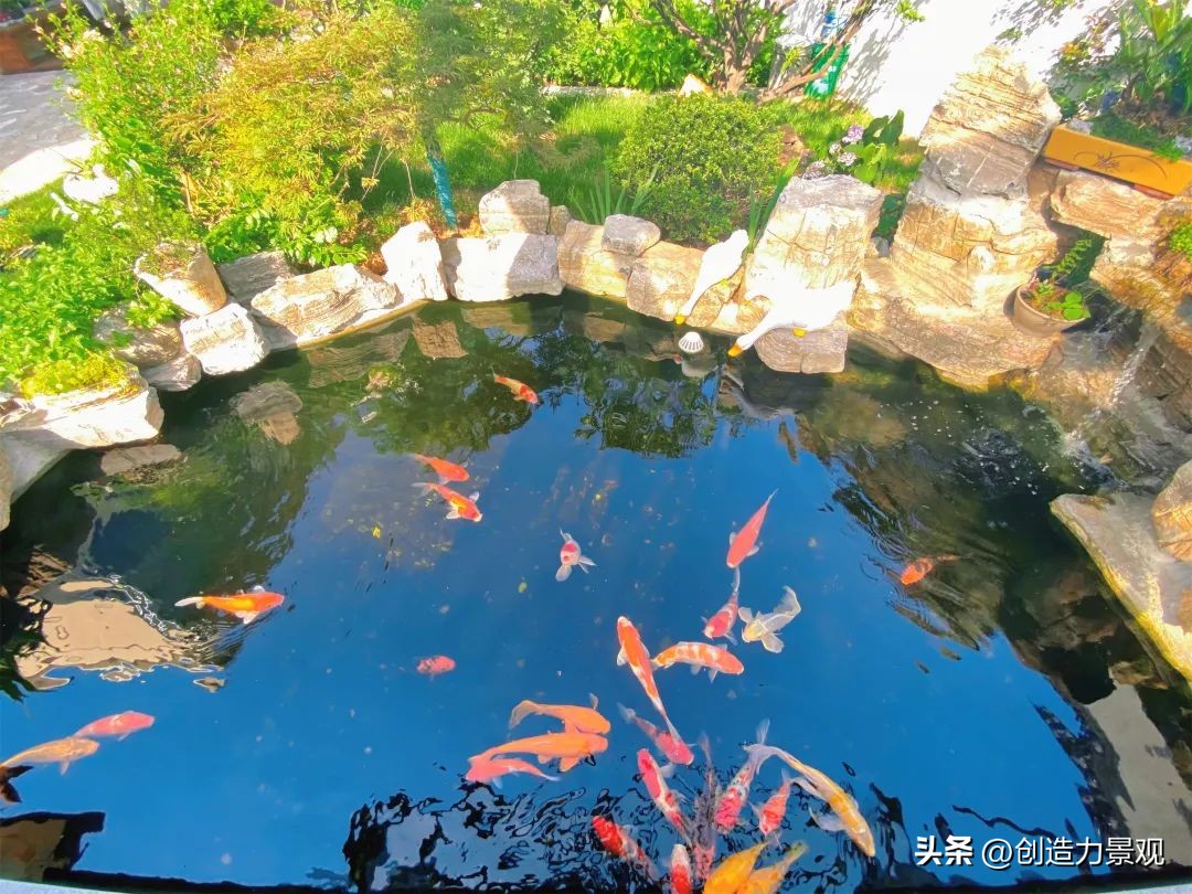 庭院鱼池怎么设计,庭院设计鱼池的最佳方法