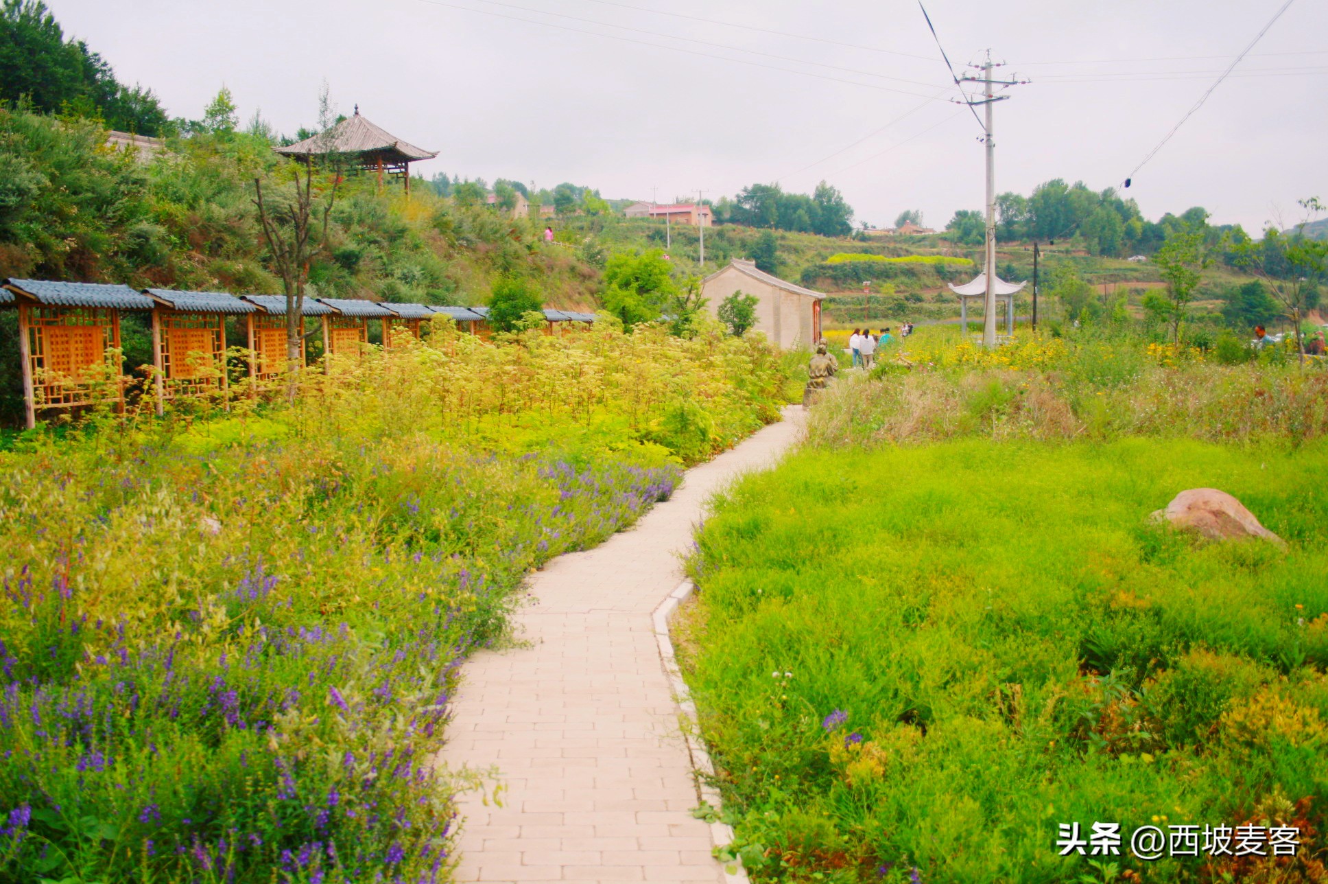 论述辛亥革命的历史意义和局限性,辛亥革命的历史意义及历史局限性