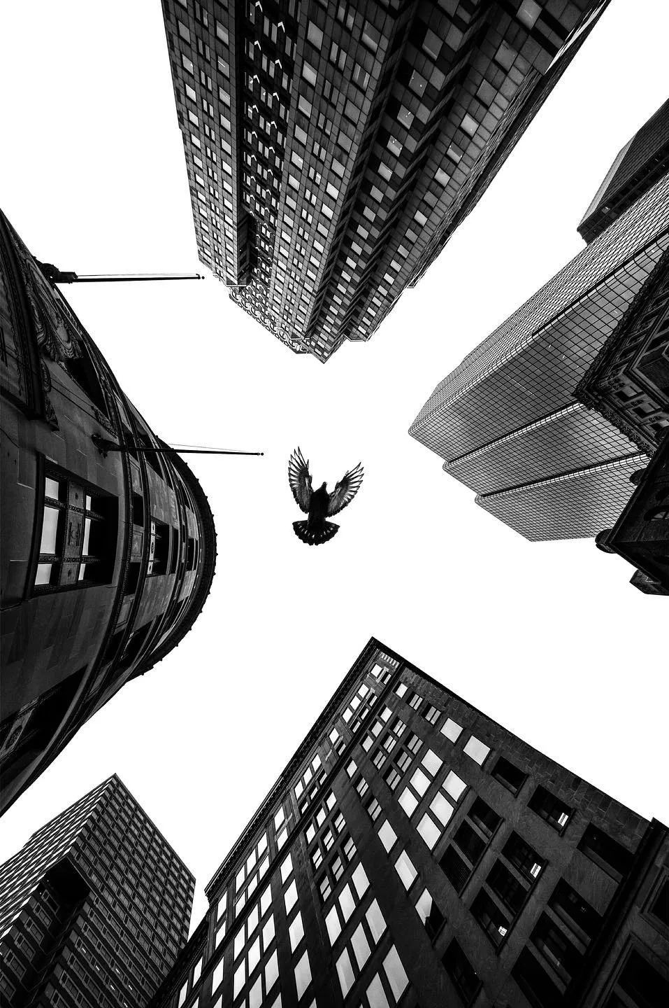 想成为摄影师需要什么认证,想成为专业的摄影师