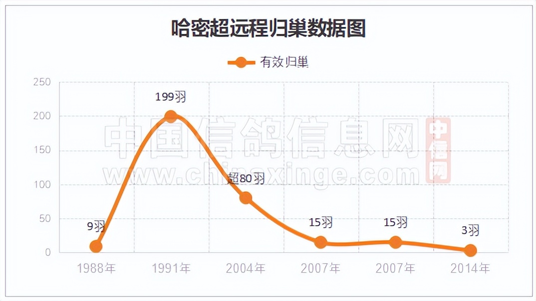 哈密超远程冠军信鸽图片,超远程赛鸽纪录