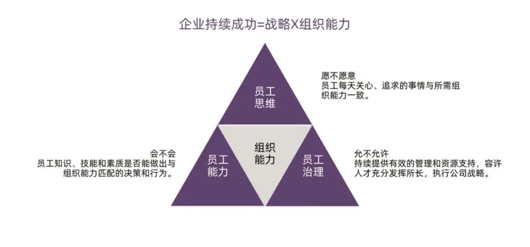 由阿根廷足球看团结的力量,从世界杯看团队重要性