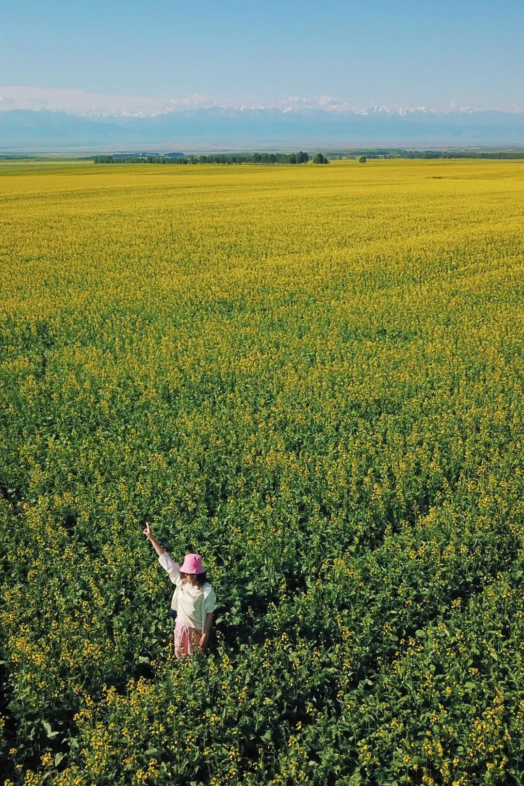 从伊犁出发的南北疆旅游攻略,火爆的新疆游
