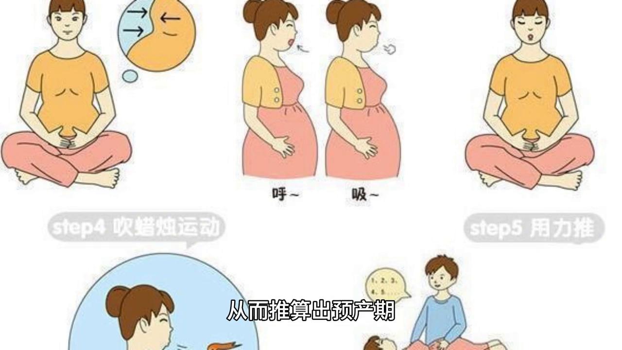 预产期怎么计算阴历,预产期怎么计算农历阳历