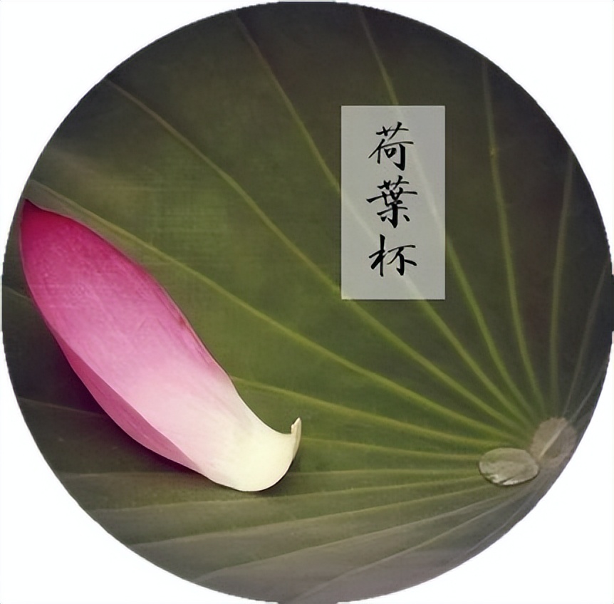 词牌荷叶杯,荷叶杯词牌