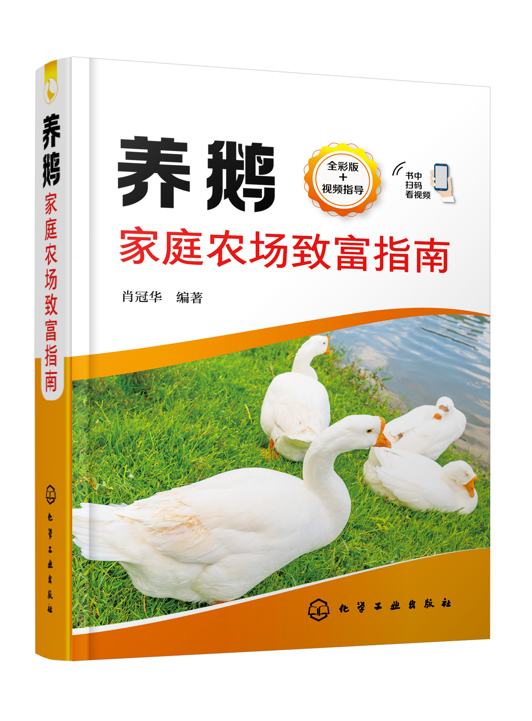 大棚养鹅基地在哪里,养鹅基地收益