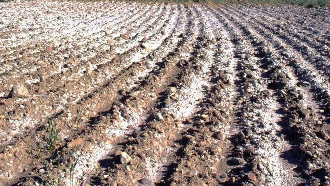 淡水会加剧土地盐碱化吗,淡水能导致盐碱化吗