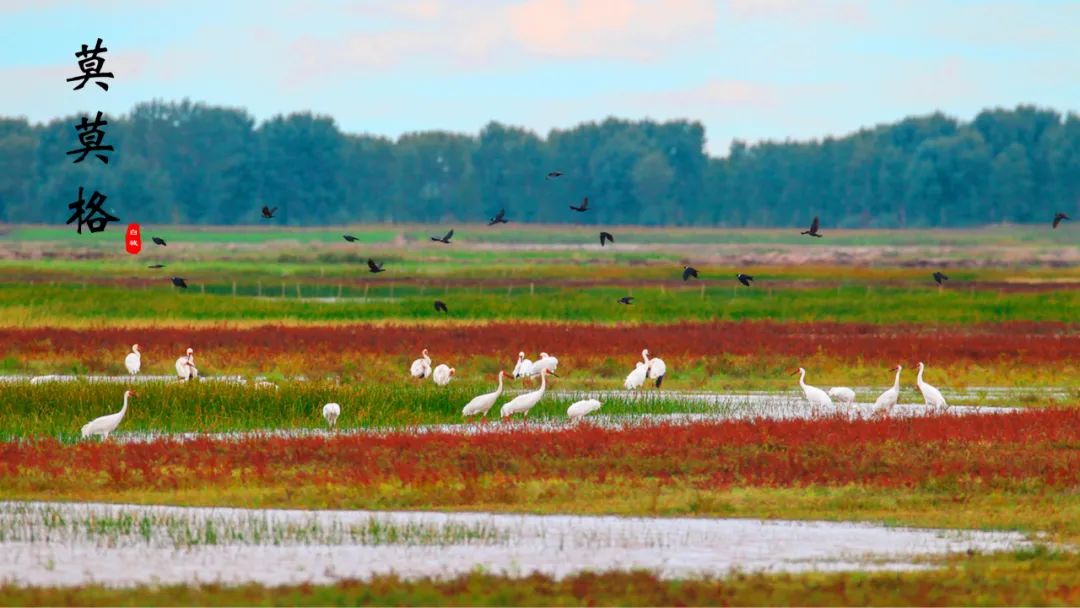 白城冬天适合旅游的地方,白城毓才踏青