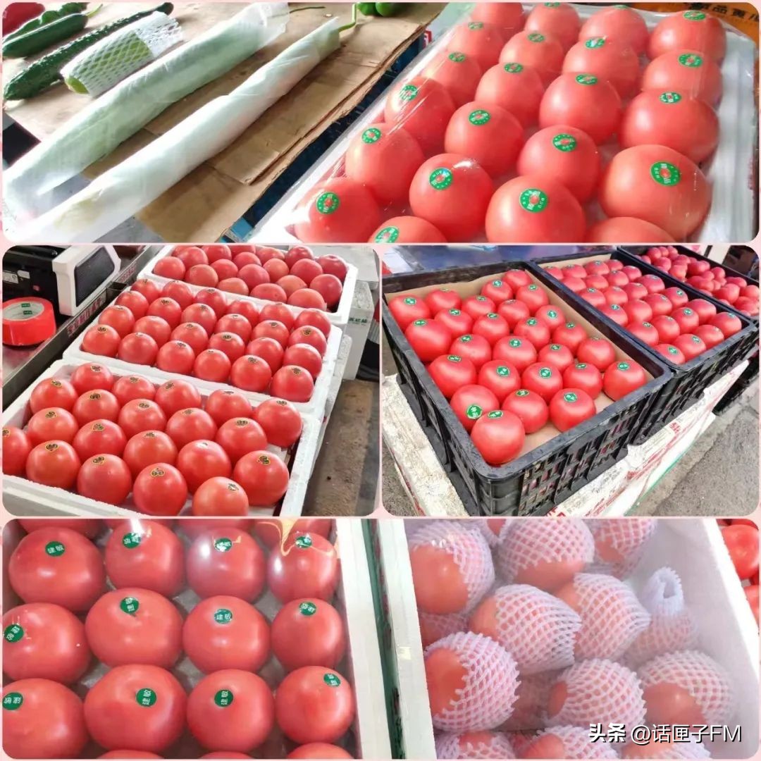 上海急招蔬菜配送司机,上海市招配送司机靠谱嘛