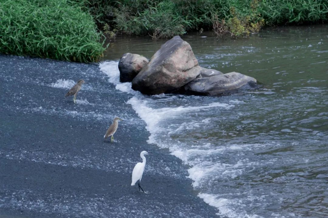 地铁深圳一号线哪里好玩,深圳1号线营业时间