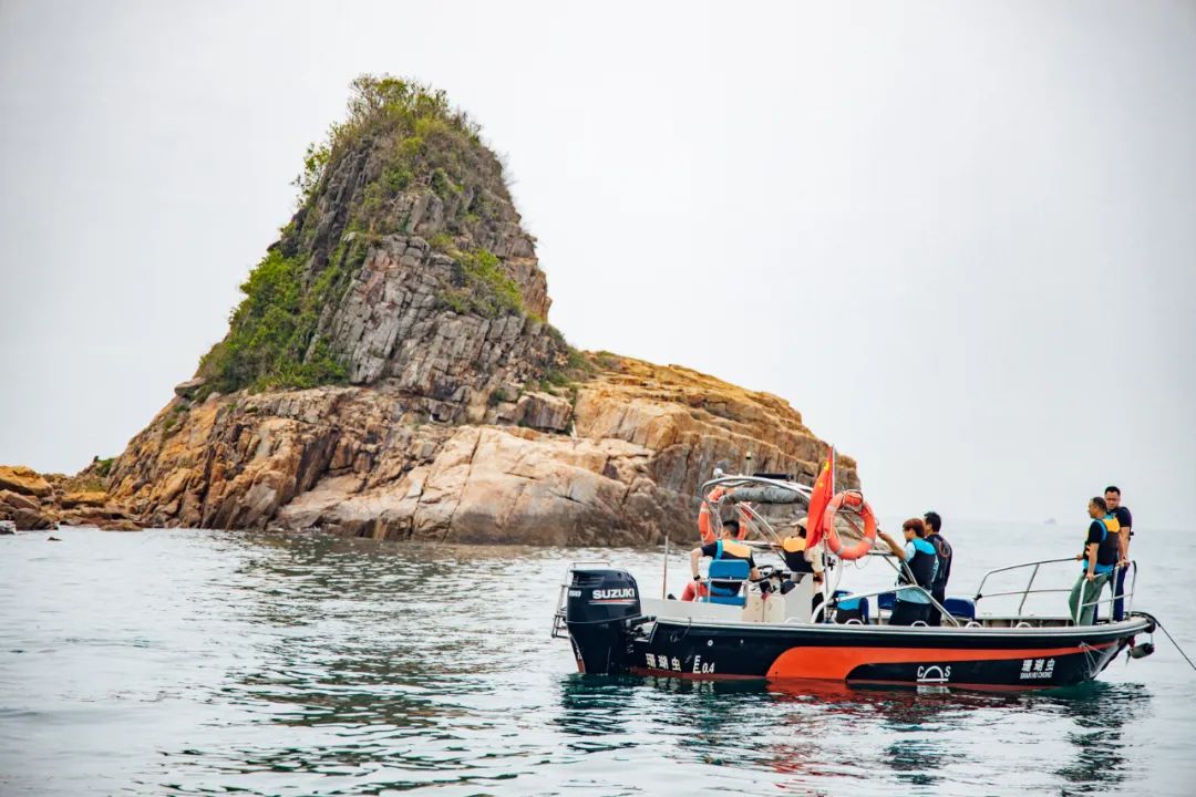 涓栫晫涓婃渶闀跨殑娴锋花鏍堥亾姊呮矙韪忔氮,涓栫晫涓婃渶闀跨殑娴锋花鏍堥亾
