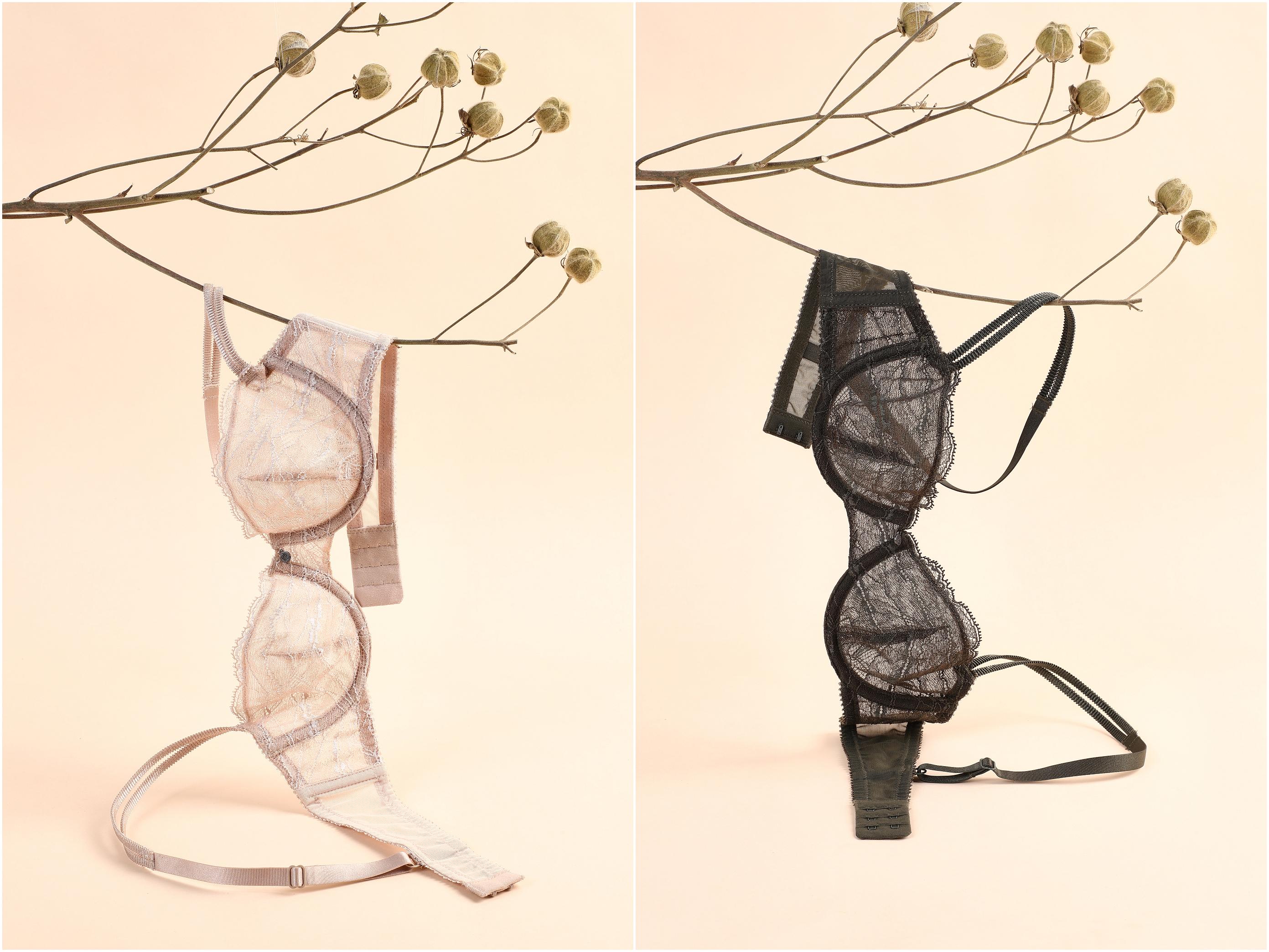 青色与你「青」密相伴，徜徉悠然时光