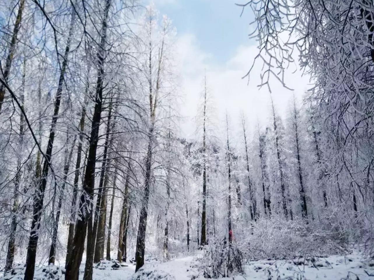 成都周边适合徒步的地方,成都徒步旅游免费景点