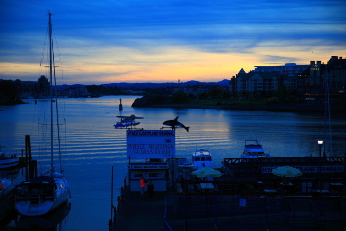 加拿大温哥华岛游记,温哥华维多利亚岛攻略