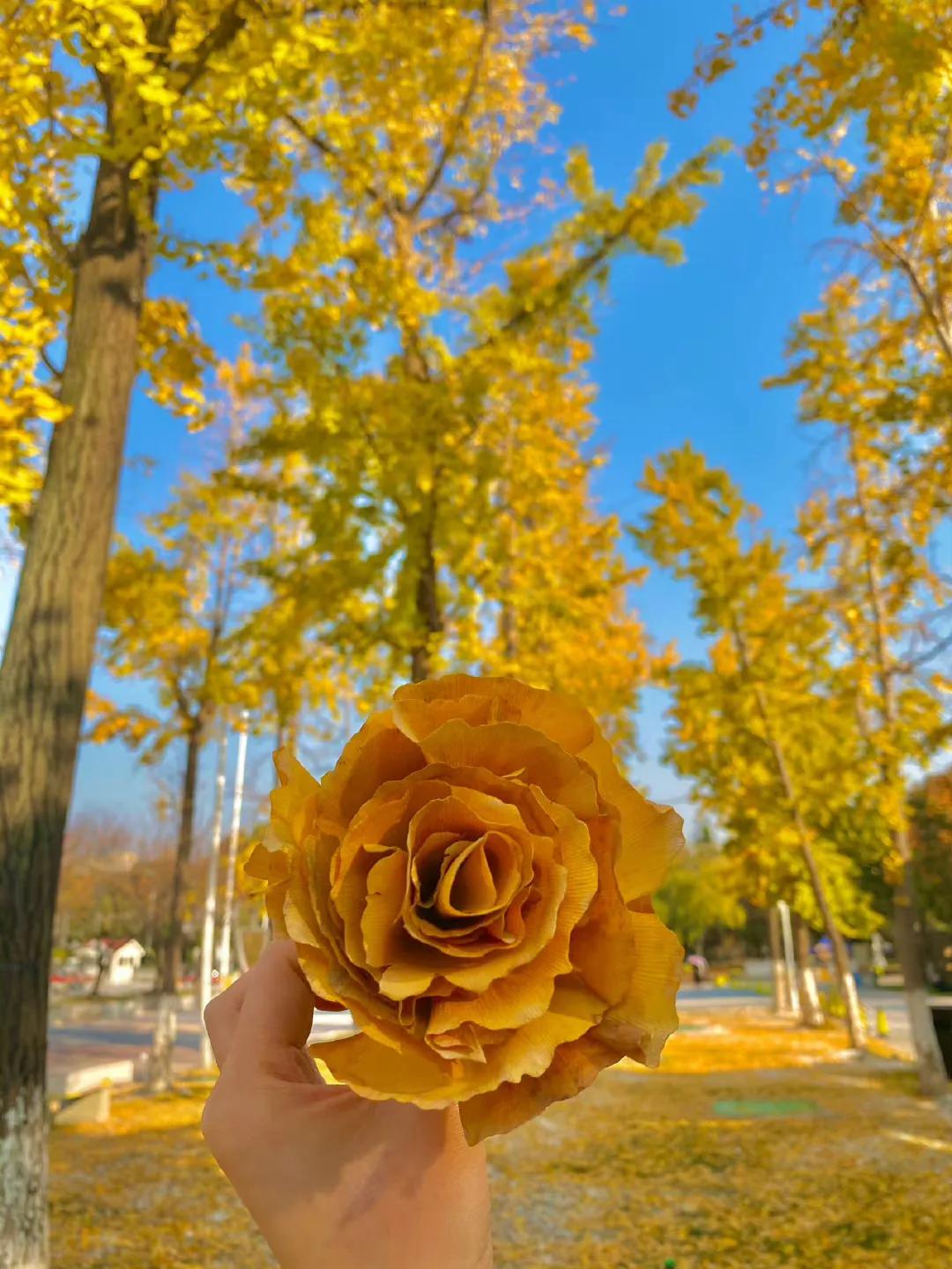 专注自己不要恋爱脑的文案,保持清醒拒绝恋爱脑的文案