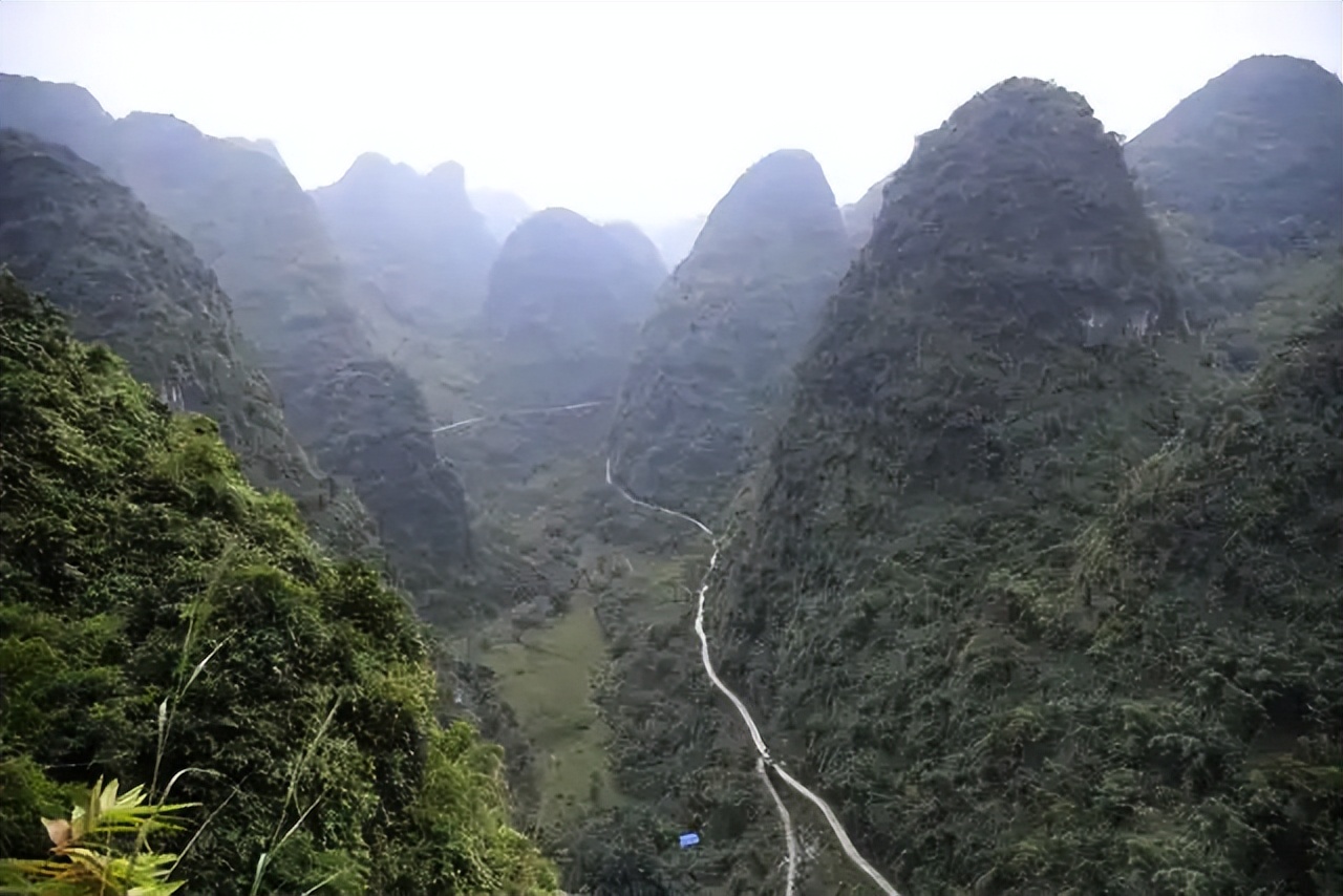 周理，武大为你鼓掌