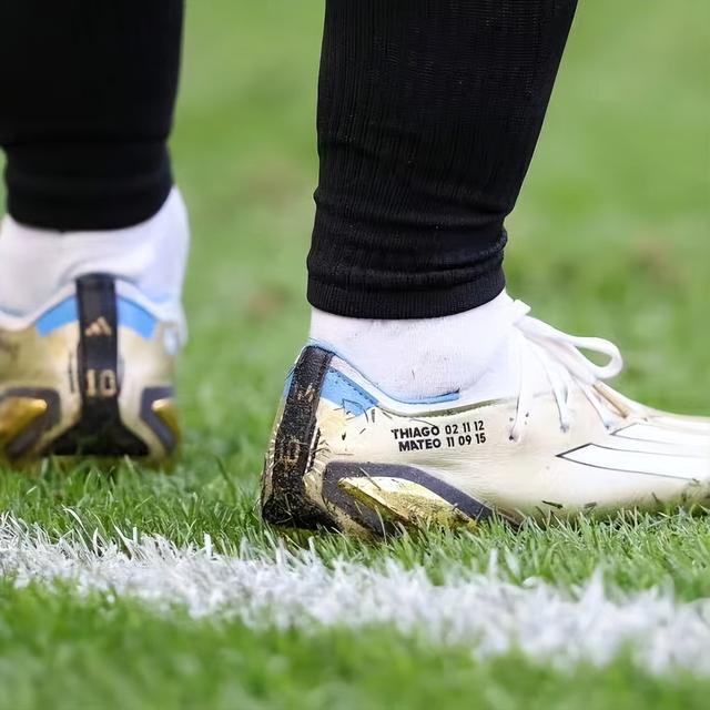 世界杯太太团c罗女友,巴西世界杯太太团c罗