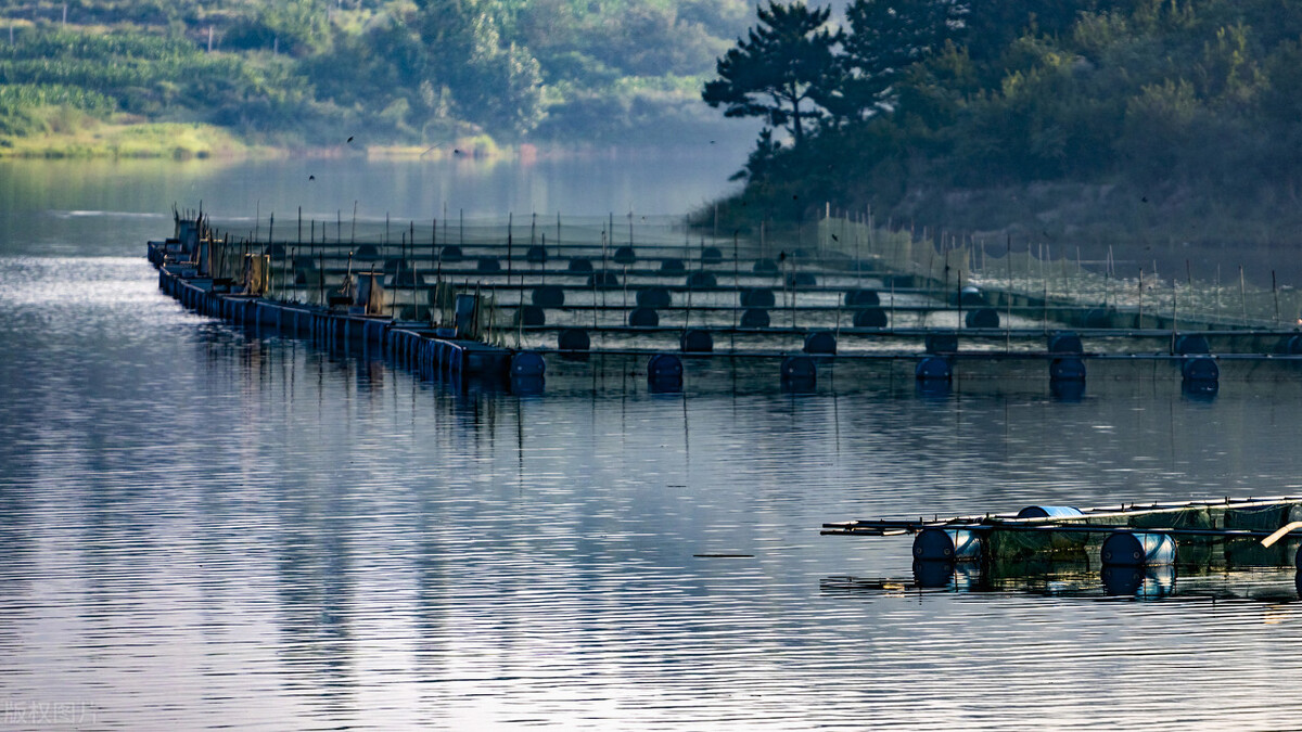 河道治理大全,国家对河道生态养殖规划