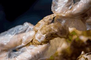 秦皇岛开海了,秦皇岛开海季节