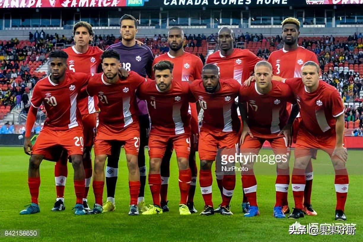 加拿大枫叶之国完整版,加拿大枫叶之城