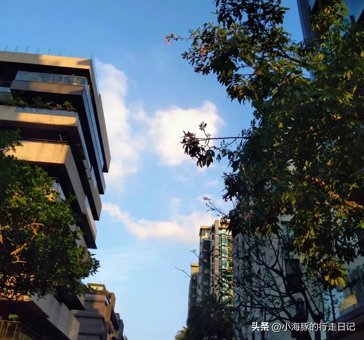 大陆同胞坐着假高铁，吃不起茶叶蛋？台湾同胞住着大别墅？