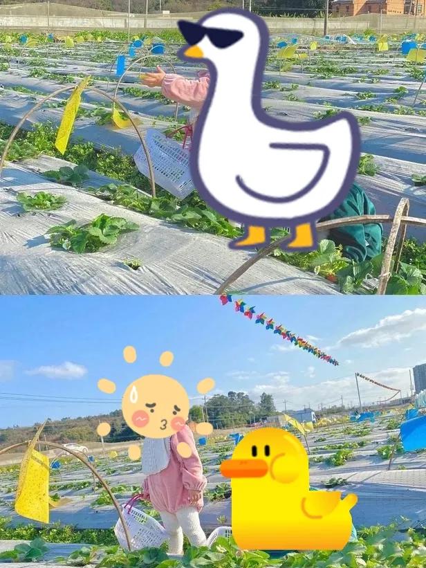 福州宝藏打卡地,福州的小众宝藏目的地