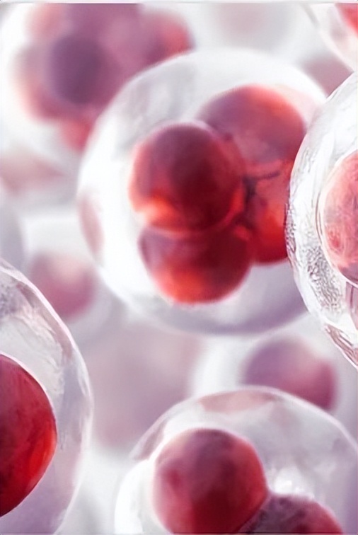 胚胎停育的十大忠告,胚胎停育一次生化妊娠