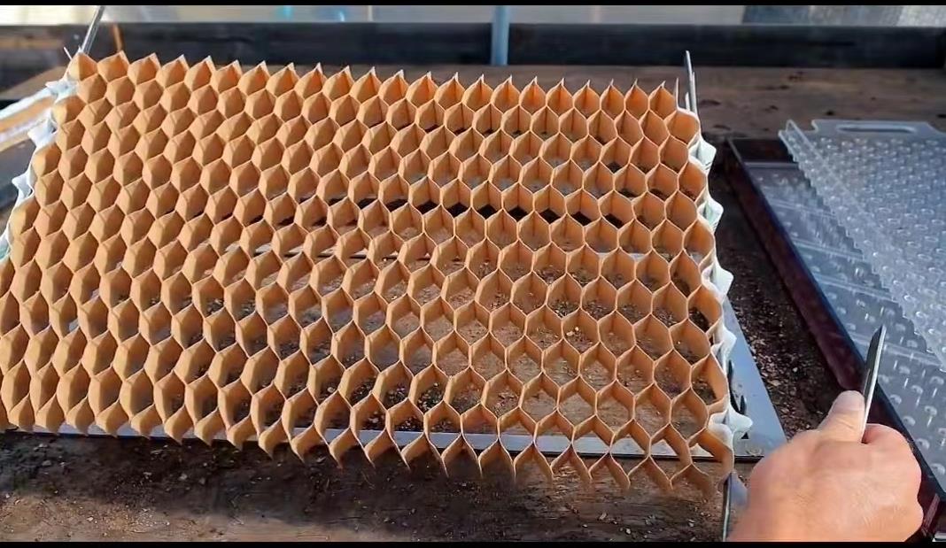 欧洲家庭农场种植技术,小型先进农业工具