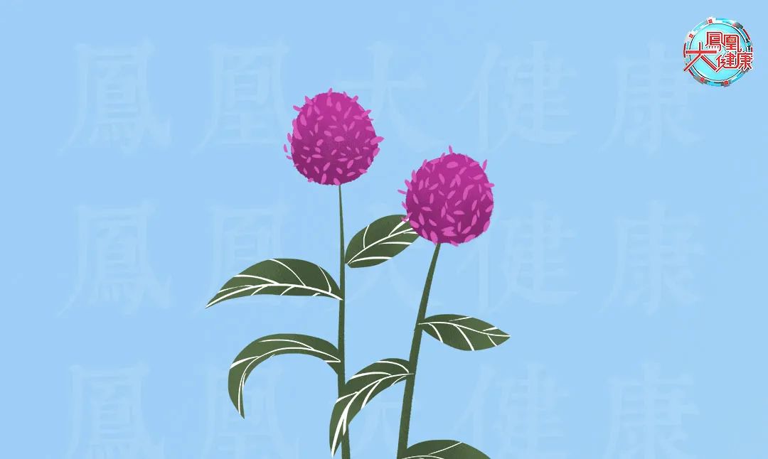 气血不足老得快教你一招延缓衰老,促进血液循环的代茶饮