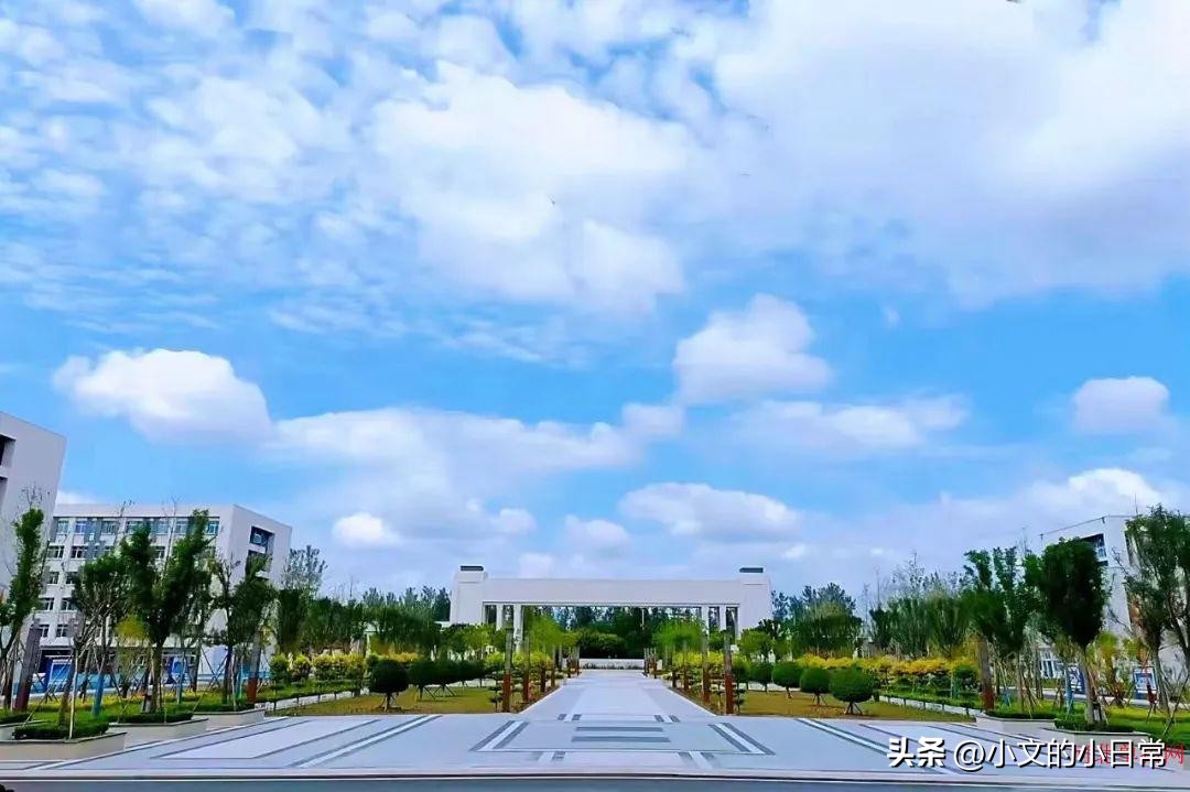 邢台职业技术学院单招录取分数,邢台学院单招四类分数线