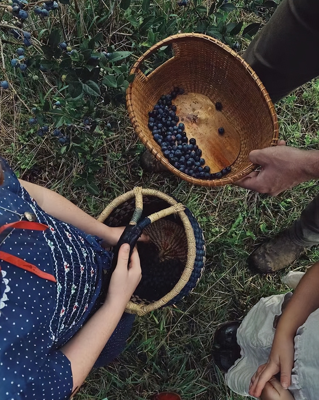 夏令爱男子，春天爱少女，秋高气爽爱自己I秋天礼物清单