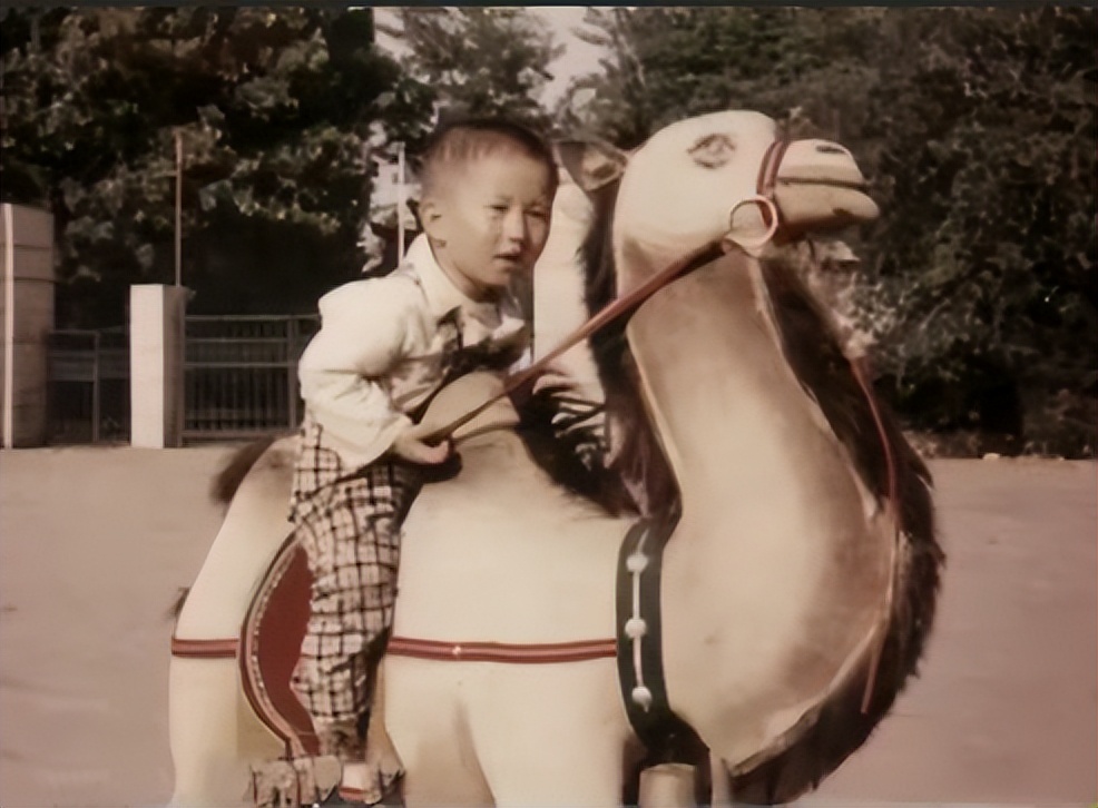 失去郭德纲对于曹云金意味着什么,郭德纲三次评价曹云金一针见血