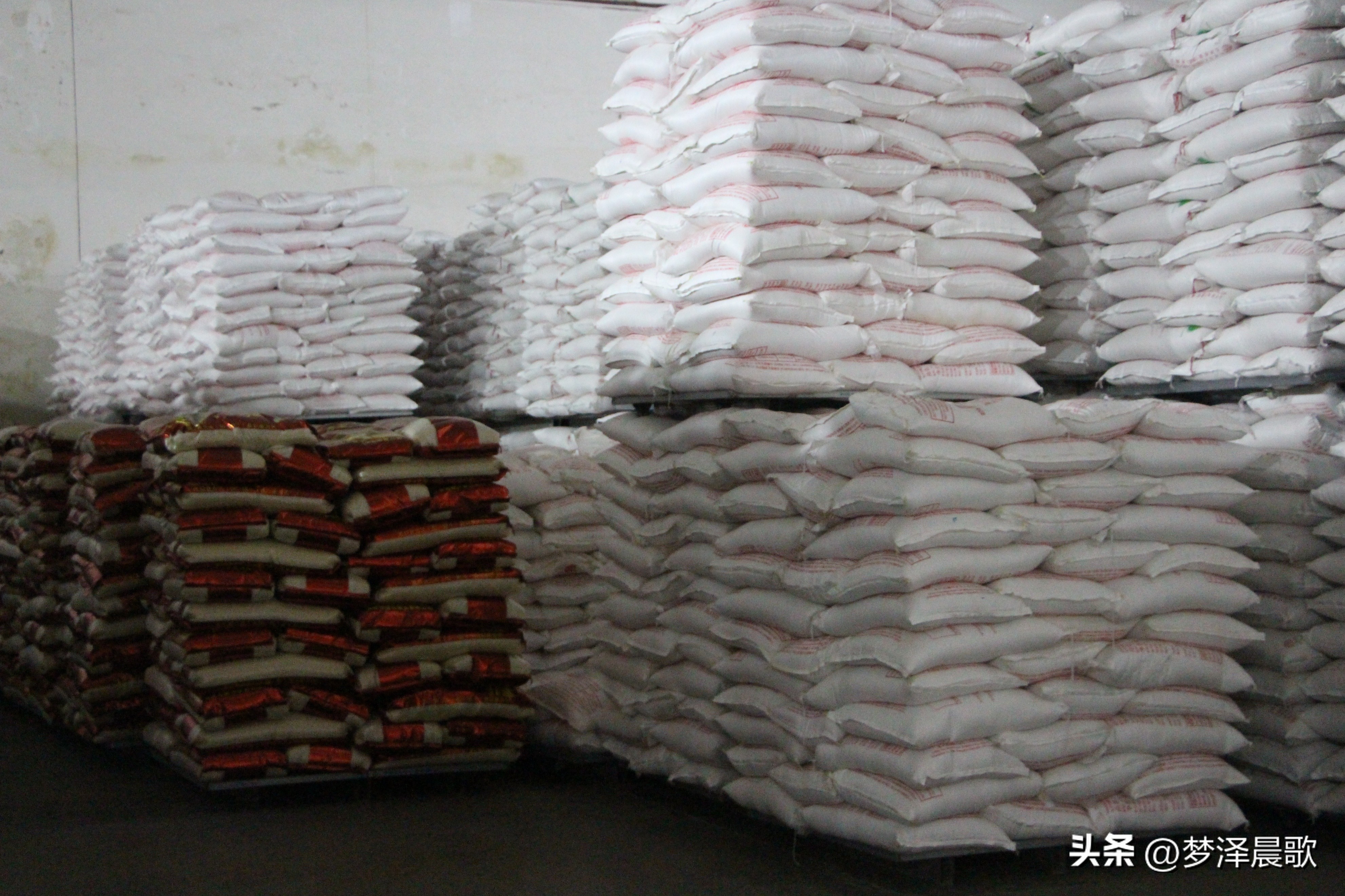 云梦好找工作吗,云梦未来的创业项目