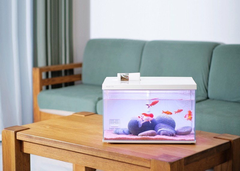 一款真·智能·慵懒化养鱼的神奇鱼缸