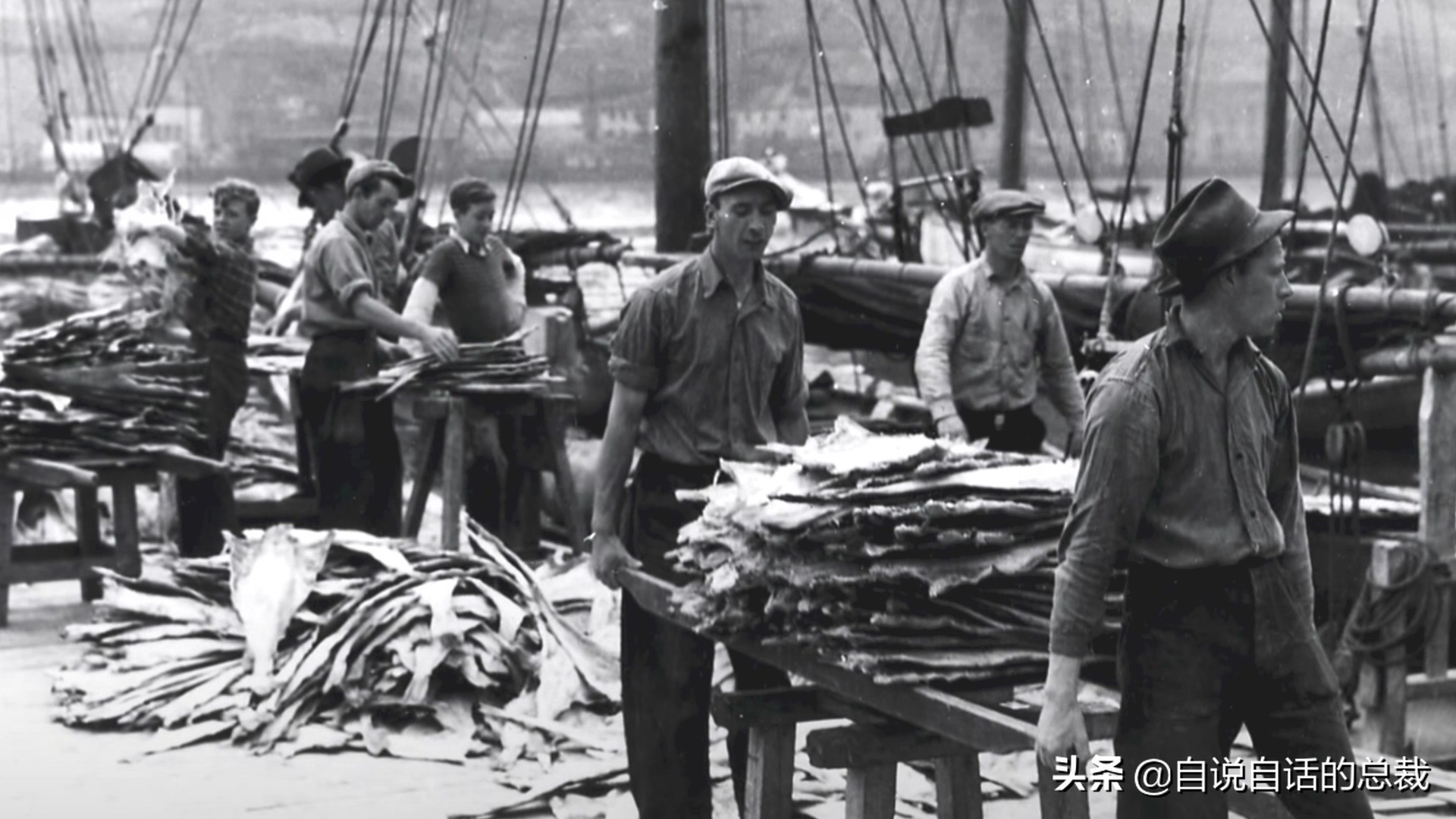 为什么买的鳕鱼段都是粘液,为什么买的鳕鱼那么多水