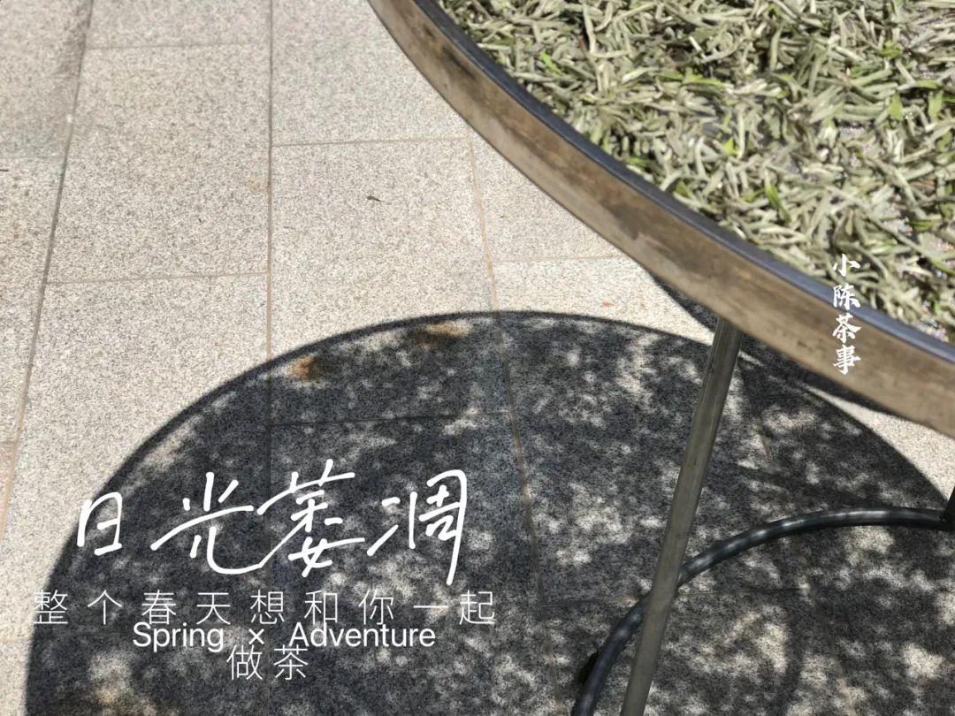 白茶闻着啥味,白茶好闻不