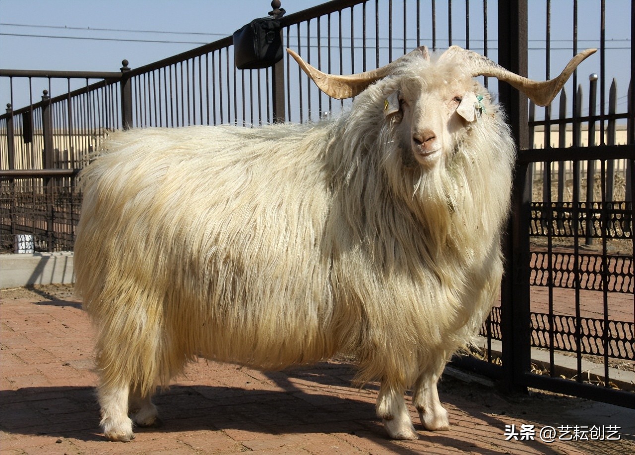 全国地理标志农产品目录系列之——辽宁省（二）