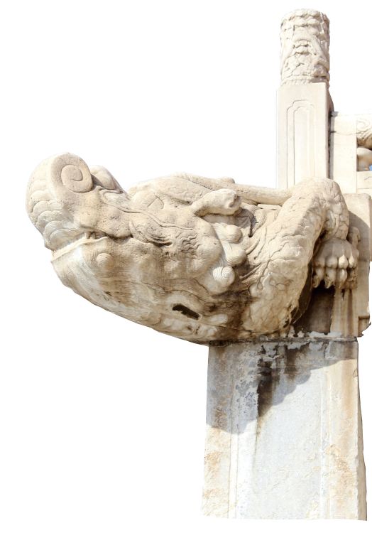 总有一种美会惊艳到时光,有一种玫瑰永不凋零