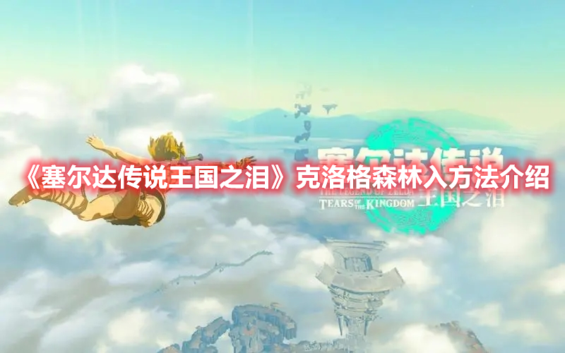 塞尔达克洛格森林扩充背包位置,塞尔达克洛格森林树顶猜谜任务