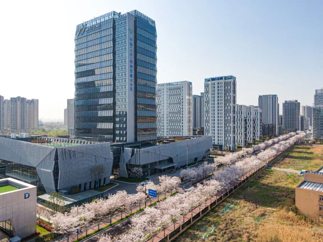 三周年！“试验田”变身“创新田”