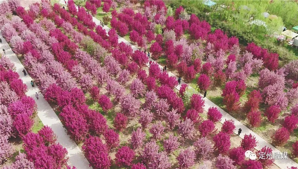 定州古城旅游景点大全,千年古都魅力定州