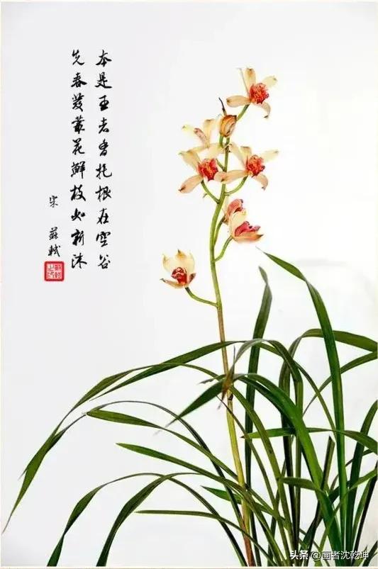 芝兰生于深谷不以无人而不芳出处,100幅历代名家兰花图值得一看再看