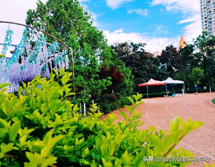 鏁板绱犲吇澶ц禌闈掑矝,瓒ｅ懗鏁板鐭ヨ瘑绔炶禌娲诲姩